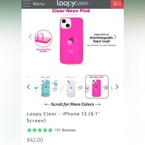 Loopy 6.1 13/14 case